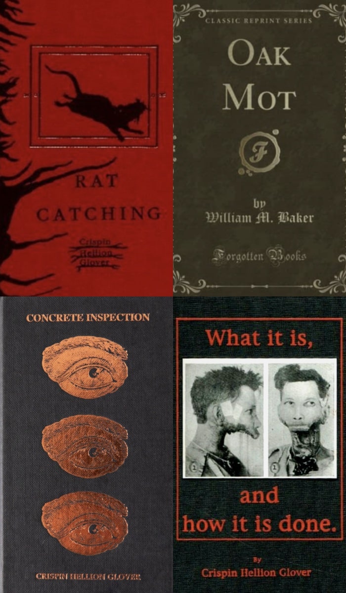 The books created by Crispin Glover can earn a certain income from book copyright